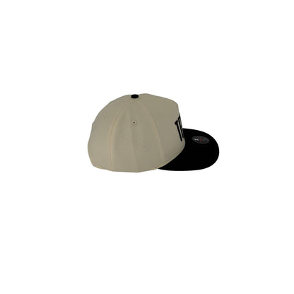 Texas State Hat