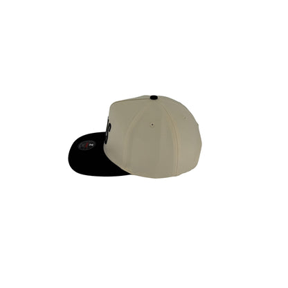 Texas State Hat